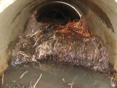 Drain Cleaning